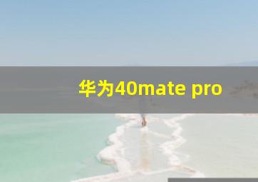 华为40mate pro